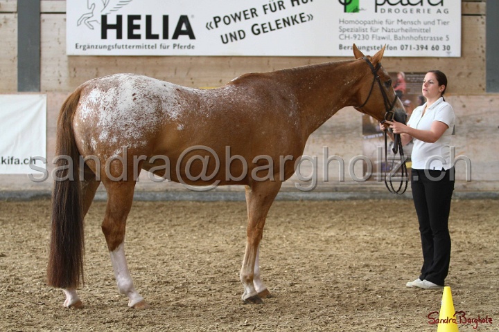 24-ApHC HIH_081.jpg